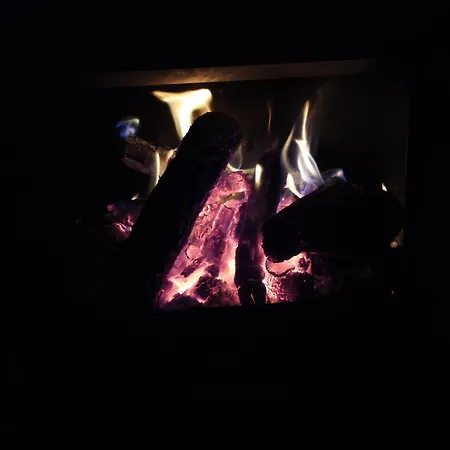 Paloma Blanca * Espinosa de Villagonzalo