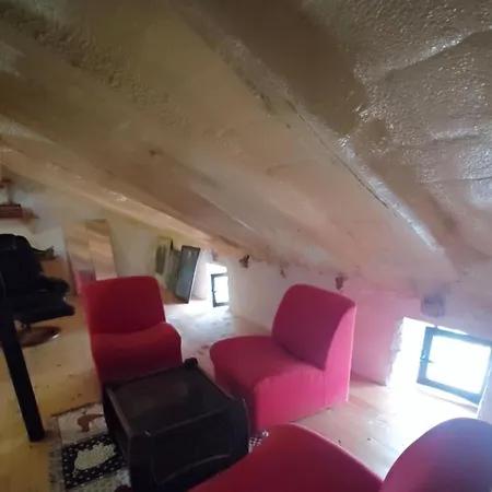 Paloma Blanca * Espinosa de Villagonzalo