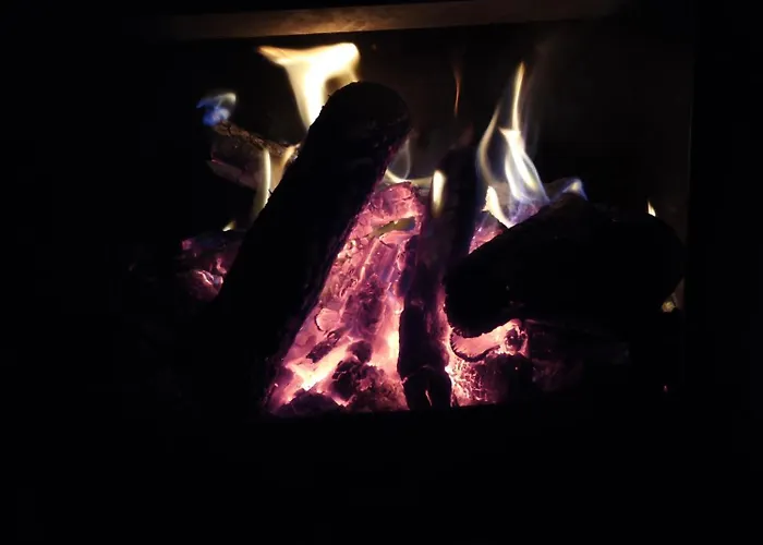 Paloma Blanca * Espinosa de Villagonzalo