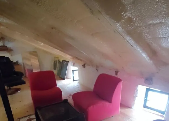 Paloma Blanca * Espinosa de Villagonzalo